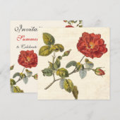 Roos Botanische Verjaardag Tuin Party Kaart (Voorkant / Achterkant)