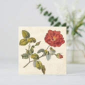 Roos Botanische Verjaardag Tuin Party Kaart (Staand voorkant)