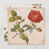  Roos Botanische Verjaardag Tuin Party Kaart (Voorkant / Achterkant)