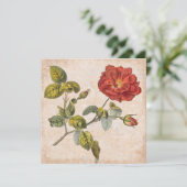 Roos Botanische Verjaardag Tuin Party Kaart (Staand voorkant)