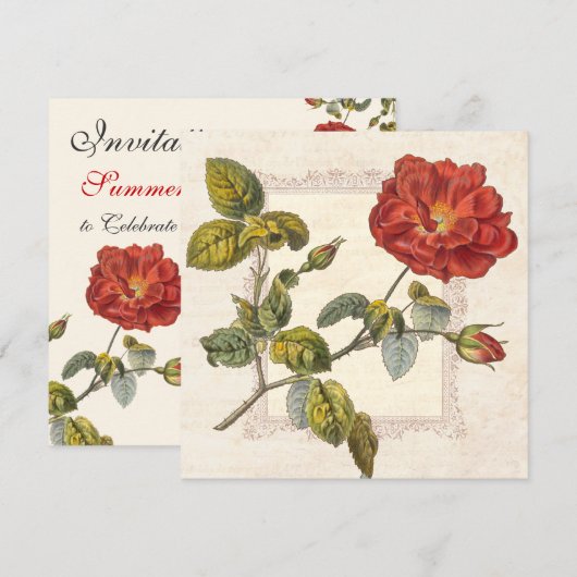  Roos Botanische Verjaardag Tuin Party Kaart (Voorkant / Achterkant)