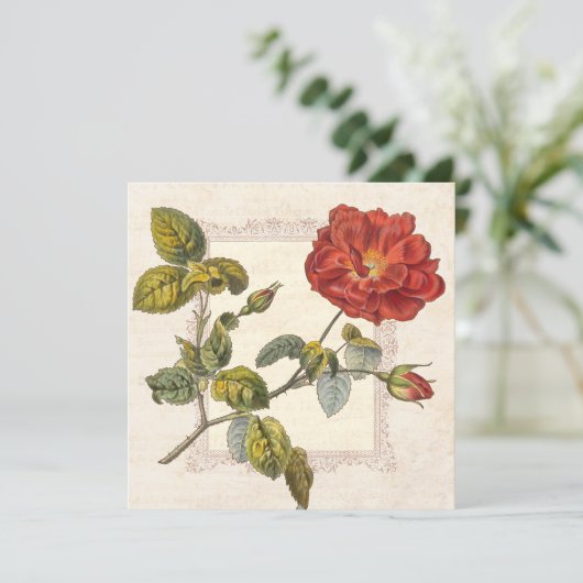  Roos Botanische Verjaardag Tuin Party Kaart (Staand voorkant)