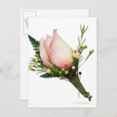 Roos Boutonniere Briefkaart (Voorkant / Achterkant)