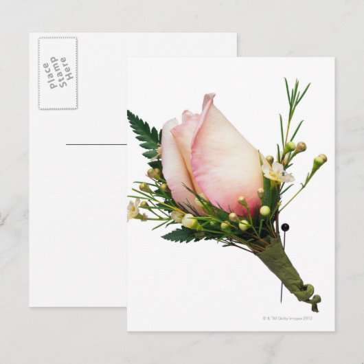 Roos Boutonniere Briefkaart (Voorkant / Achterkant)
