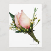 Roos Boutonniere Briefkaart (Voorkant)
