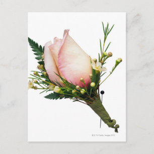 Roos Boutonniere Briefkaart