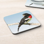 Roos-Breasted Grosbeak Drankjes Onderzetter (Linkerzijde)