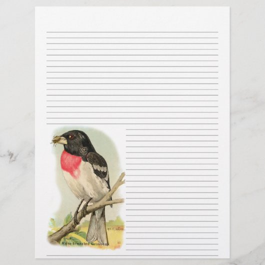 Roos Breasted Grosbeak Lined Letterhead (Voorkant)