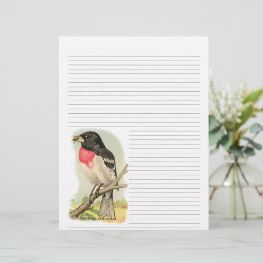  Roos Breasted Grosbeak Lined Letterhead (Staand voorkant)