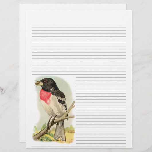  Roos Breasted Grosbeak Lined Letterhead (Voorkant / Achterkant)