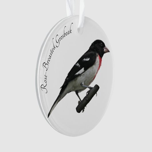 Roos-Breasted Grosbeak Ornament (voorkant)