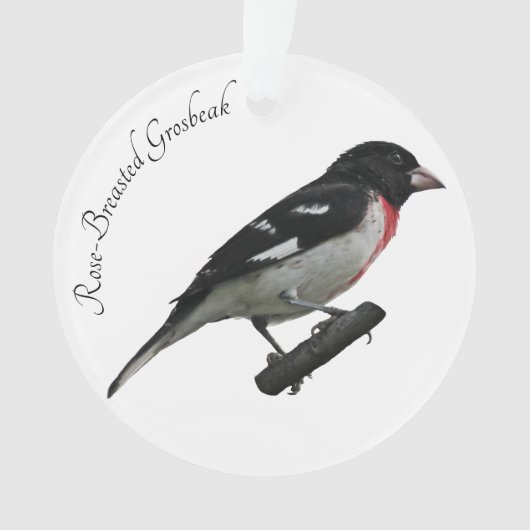 Roos-Breasted Grosbeak Ornament (voorkant)
