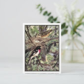 Roos-Breasted Grosbeak - Robert Bruce Horsfall Briefkaart (Staand voorkant)