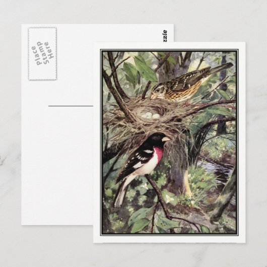 Roos-Breasted Grosbeak - Robert Bruce Horsfall Briefkaart (Voorkant / Achterkant)