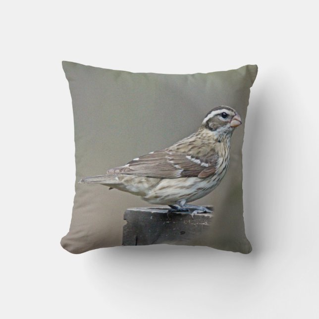 Roos-Breasted Vrouw van de Grosbeak Kussen (Voorkant)
