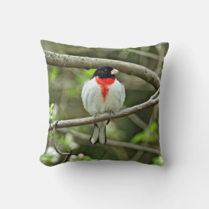Roos-Breedte Grosbeak - Pheucticus ludovicianus Kussen