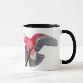 Roos Breste Cockatau Galah Mok