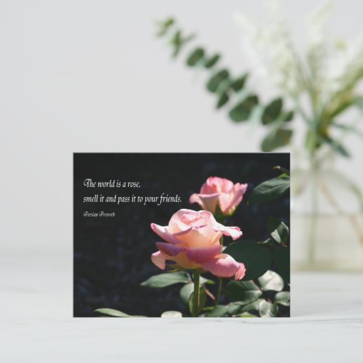 roos briefkaart (Staand voorkant)