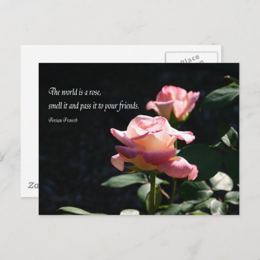 roos briefkaart (Voorkant / Achterkant)