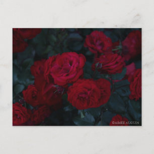 Roos Briefkaart