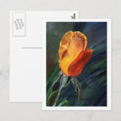 Roos Briefkaart (Voorkant / Achterkant)