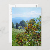 Roos Briefkaart (Voorkant / Achterkant)