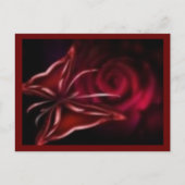 roos briefkaart (Voorkant)