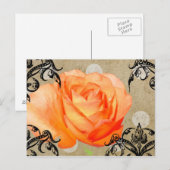 Roos Briefkaart (Voorkant / Achterkant)