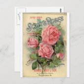  Roos Briefkaart (Voorkant / Achterkant)