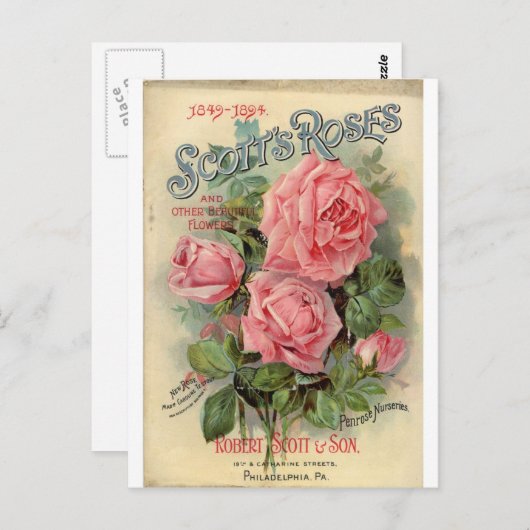  Roos Briefkaart (Voorkant / Achterkant)