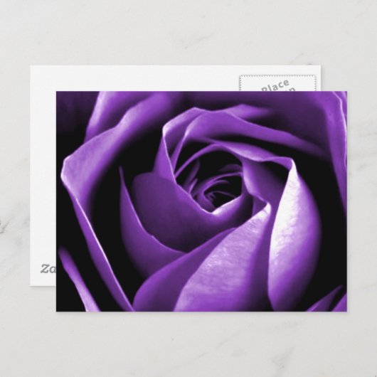 Roos Briefkaart (Voorkant / Achterkant)