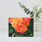 Roos Briefkaart (Staand voorkant)