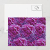 Roos Briefkaart (Voorkant / Achterkant)