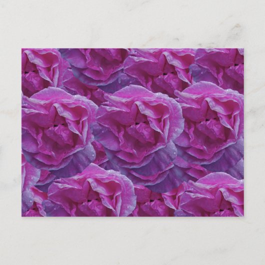 Roos Briefkaart (Voorkant)