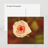 Roos Briefkaart (Voorkant / Achterkant)