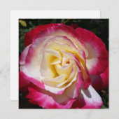 Roos-briefkaart (Voorkant / Achterkant)