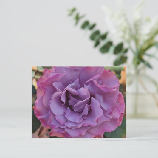 Roos Briefkaart (Staand voorkant)