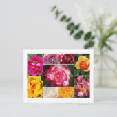 Roos Briefkaart (Staand voorkant)