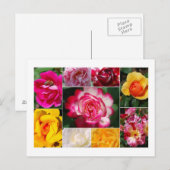 Roos Briefkaart (Voorkant / Achterkant)