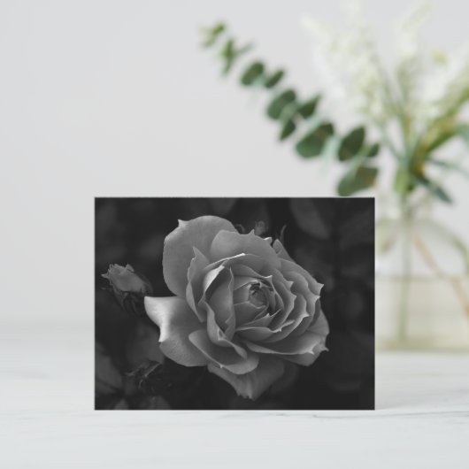 Roos Briefkaart (Staand voorkant)