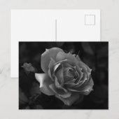 Roos Briefkaart (Voorkant / Achterkant)