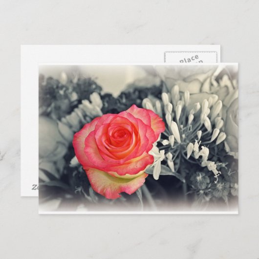 Roos Briefkaart (Voorkant / Achterkant)