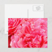 Roos Briefkaart (Voorkant / Achterkant)