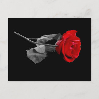 Roos Briefkaart