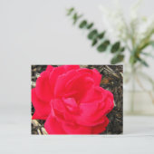 Roos Briefkaart (Staand voorkant)