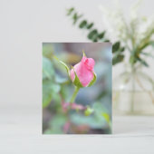 Roos briefkaart (Staand voorkant)