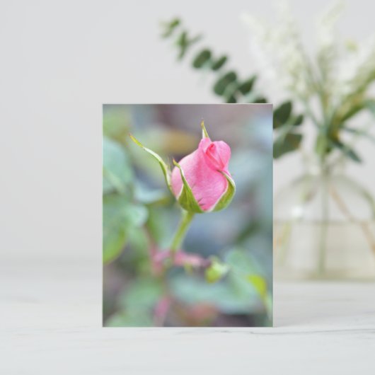 Roos briefkaart (Staand voorkant)