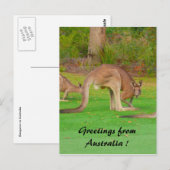 roos briefkaart (Voorkant / Achterkant)