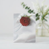 roos briefkaart (Staand voorkant)