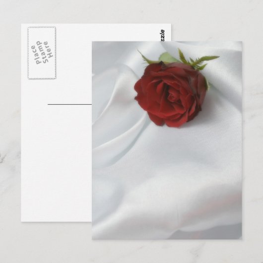 roos briefkaart (Voorkant / Achterkant)